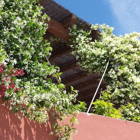 Gato Preto De Silves - Adults Only住宿加早餐旅馆 外观 照片